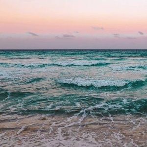 Meet your Posher, Delaney